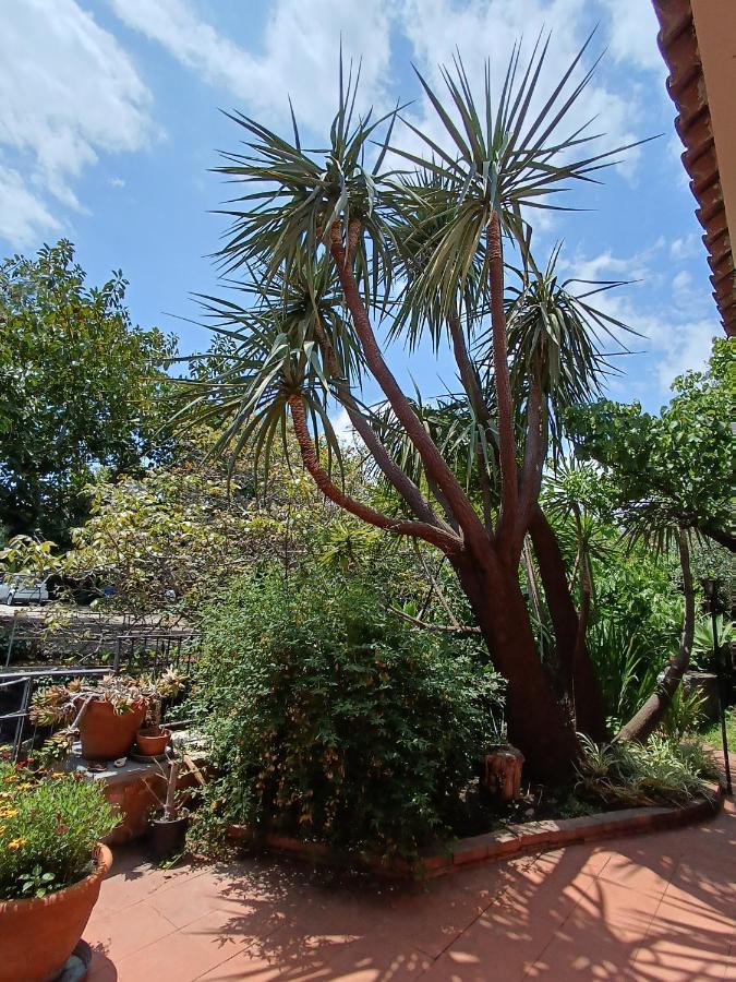 B&B Villa Lidia Acireale Εξωτερικό φωτογραφία