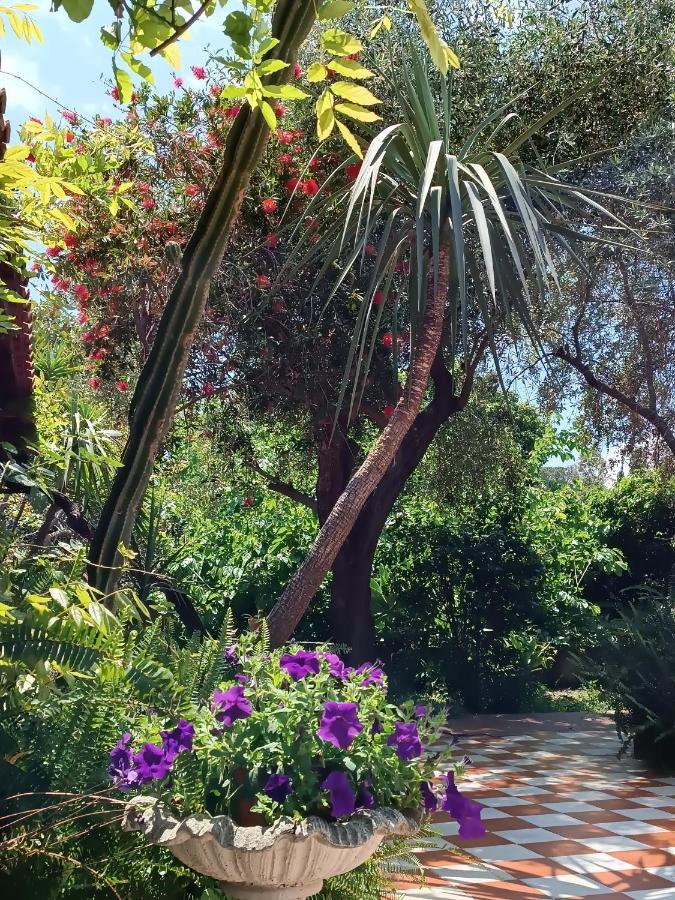 B&B Villa Lidia Acireale Εξωτερικό φωτογραφία