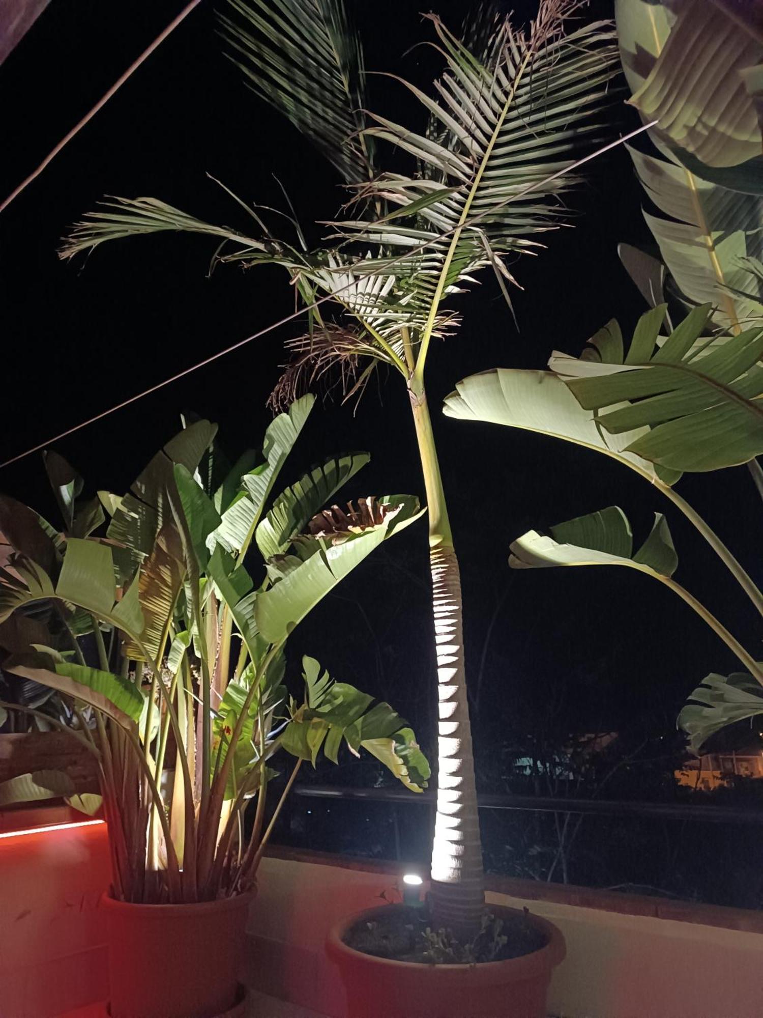 B&B Villa Lidia Acireale Εξωτερικό φωτογραφία