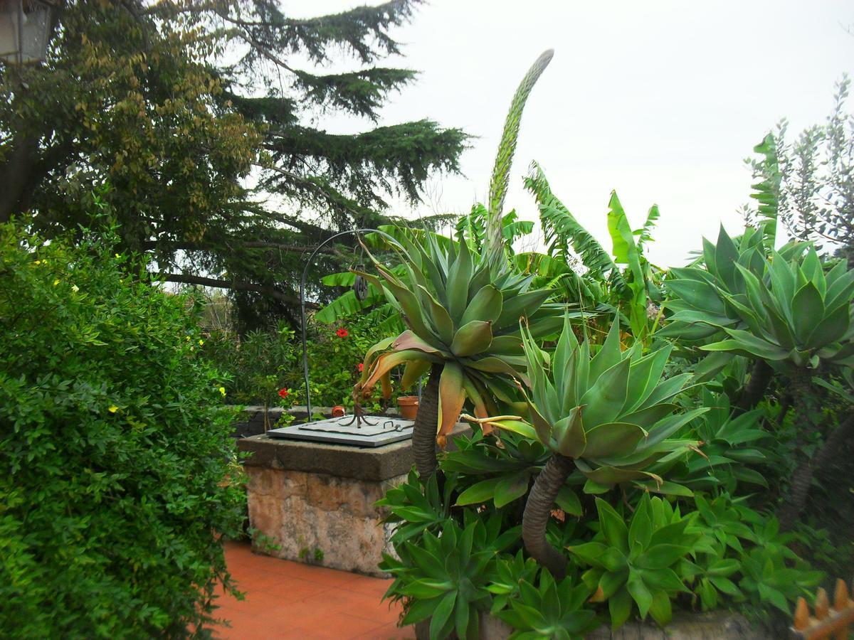 B&B Villa Lidia Acireale Εξωτερικό φωτογραφία