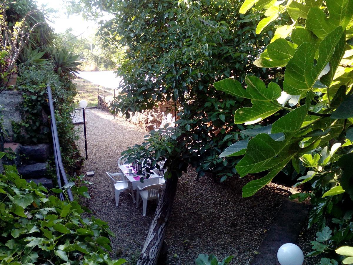 B&B Villa Lidia Acireale Εξωτερικό φωτογραφία